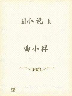 bl小说 h